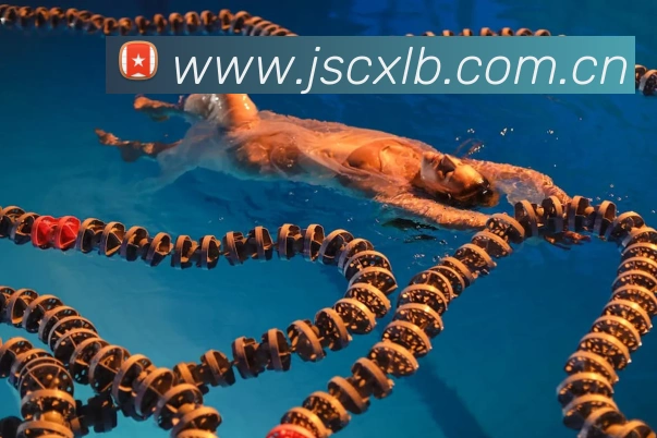 米兰网页版登录入口APP 封面图